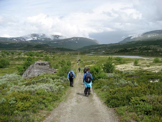 Foto fra forsiden av pilegrimsrapporten: Pilegrimsvandrere på vei over Dovre, på vei mot målet – Nidarosdomen i Trondheim
