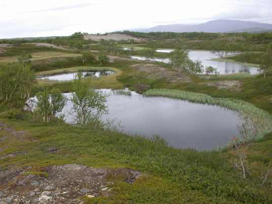 Sandtjønnan. Foto: Fylkesmannen i Sør-Trøndelag.