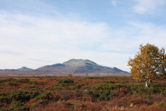 Mot Skaget. Foto: Reidar Gran.