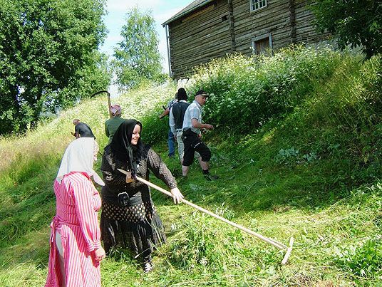 Slåttekarer og rakstertauser. Slåttedag på Egge i Steinkjer.