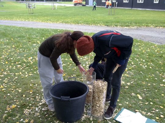Beregning av flisvolum er en praktisk oppgave som involverer elevene under skog- og klimadagene. 