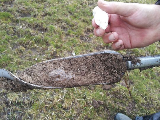 Jordsmonnkartlegging. En stor del av jorda på Ørlandet inneholder skjellsand. Jorda på bildet testes med saltsyre, og en boblende reaksjon viser at jorda inneholder mye kalk.