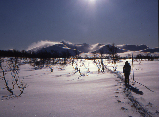 Mellom Storerikvollen og Ramsjøhytta. Sylmassivet i bakgrunnen. Foto: Erik Stabell.