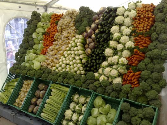 Økologiske grønnsaker