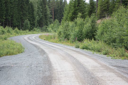 En godt vedlikeholdt skogsbilveg er en forutsetning for effektiv tømmertransport i et mildere og våtere klima. 