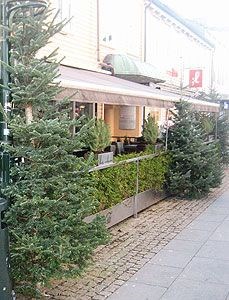 Juletrebyen Kristiansand: Advent gikk inn med 300 juletre levert på døra til butikker og restauranter i Kvaderaturen.