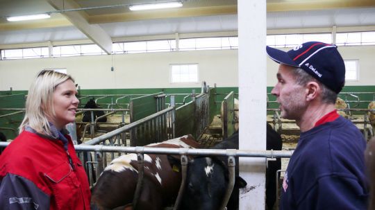 Landbruks- og matminister Sylvi Listhaug i prat med melkebonde Alf Håvard Bro i Skiptvedt, her var alt på stell. 