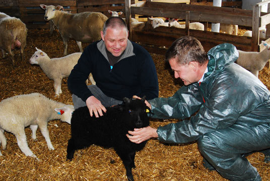 Miljø- og utviklingsminister Erik Solheim med sauebonde Terje Os Nesthun. Foto: Miljøverndepartementet.