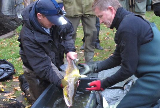 Erik Solheim på laksefiske i Akerselva sammen med Oslo Fiskeadministrasjon. Foto:TH/MD